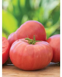 Arkansas Traveler Slicing