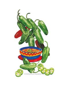 Early Jalapeno Chile